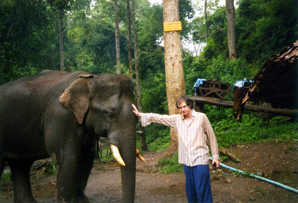 Elephant & Paul