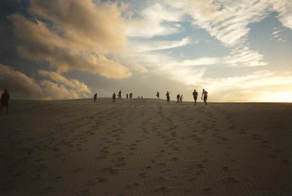 Fraser Island Dune