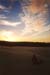 Fraser Island Didgeridoo